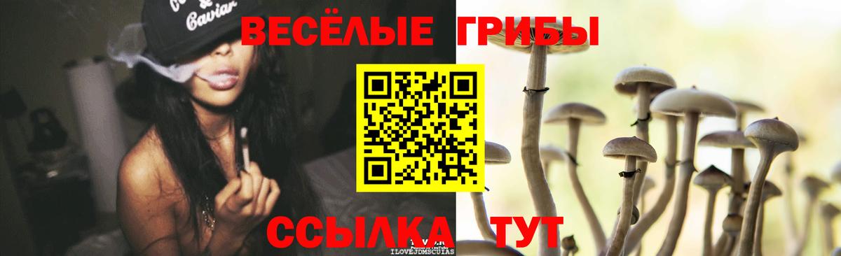 Баксан  наркота  Вход с VPN  Галлюциногенные грибы ЛСД 
